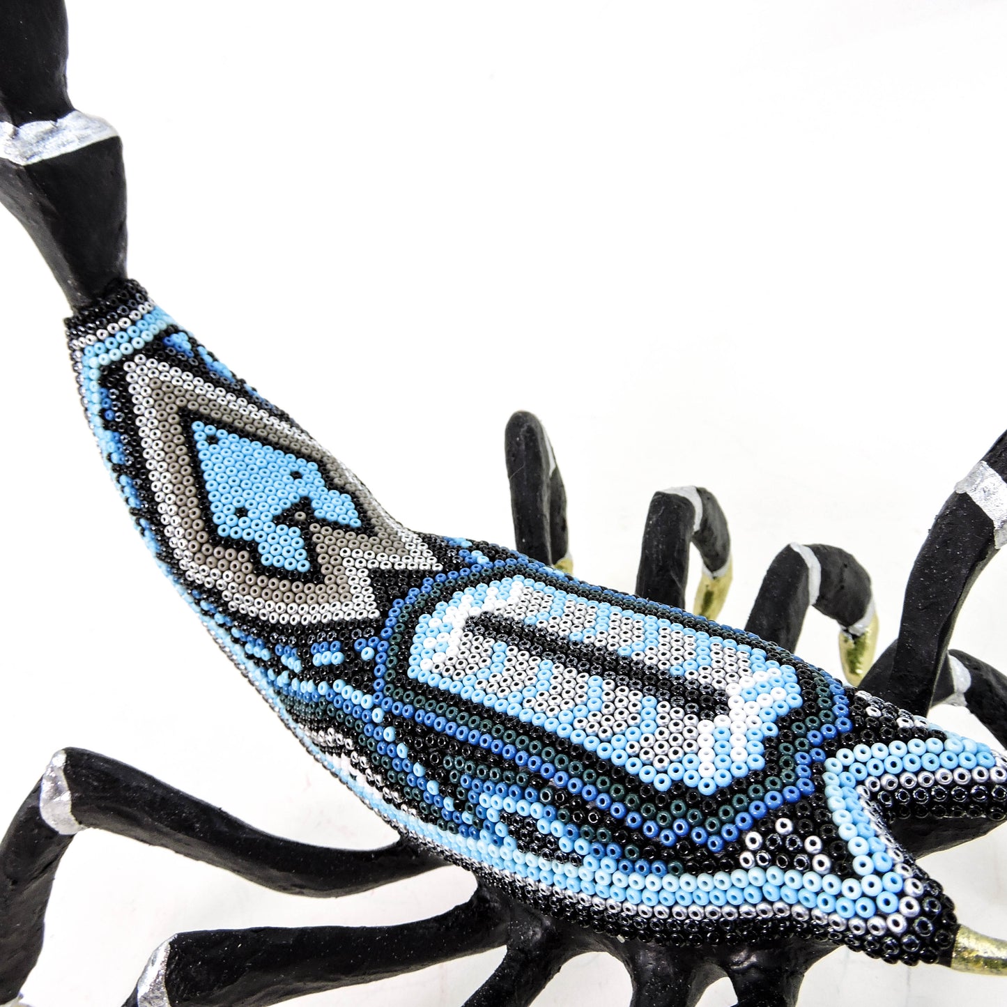 Escorpion Coyote Azul