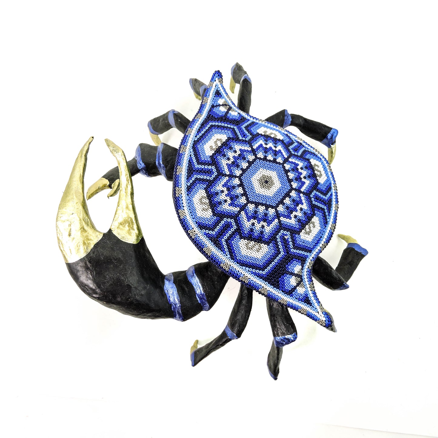 Cangrejo Violinista Flor de Peyote