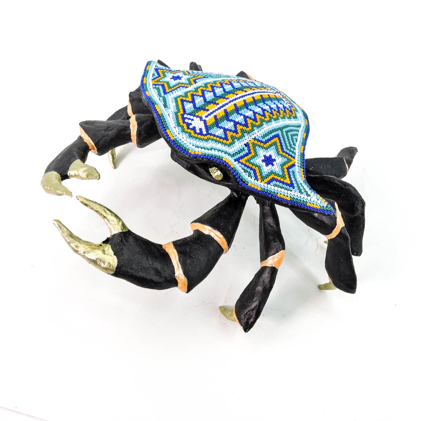 Cangrejo Espigas de Tatewari