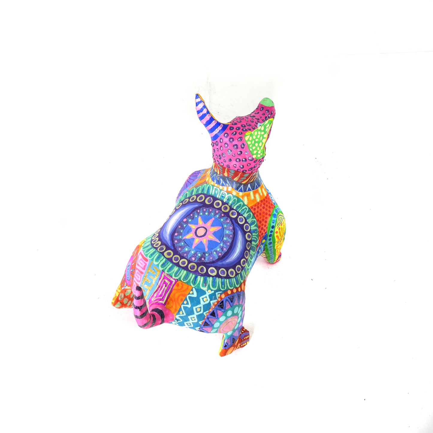 Xolo Gordito Colores