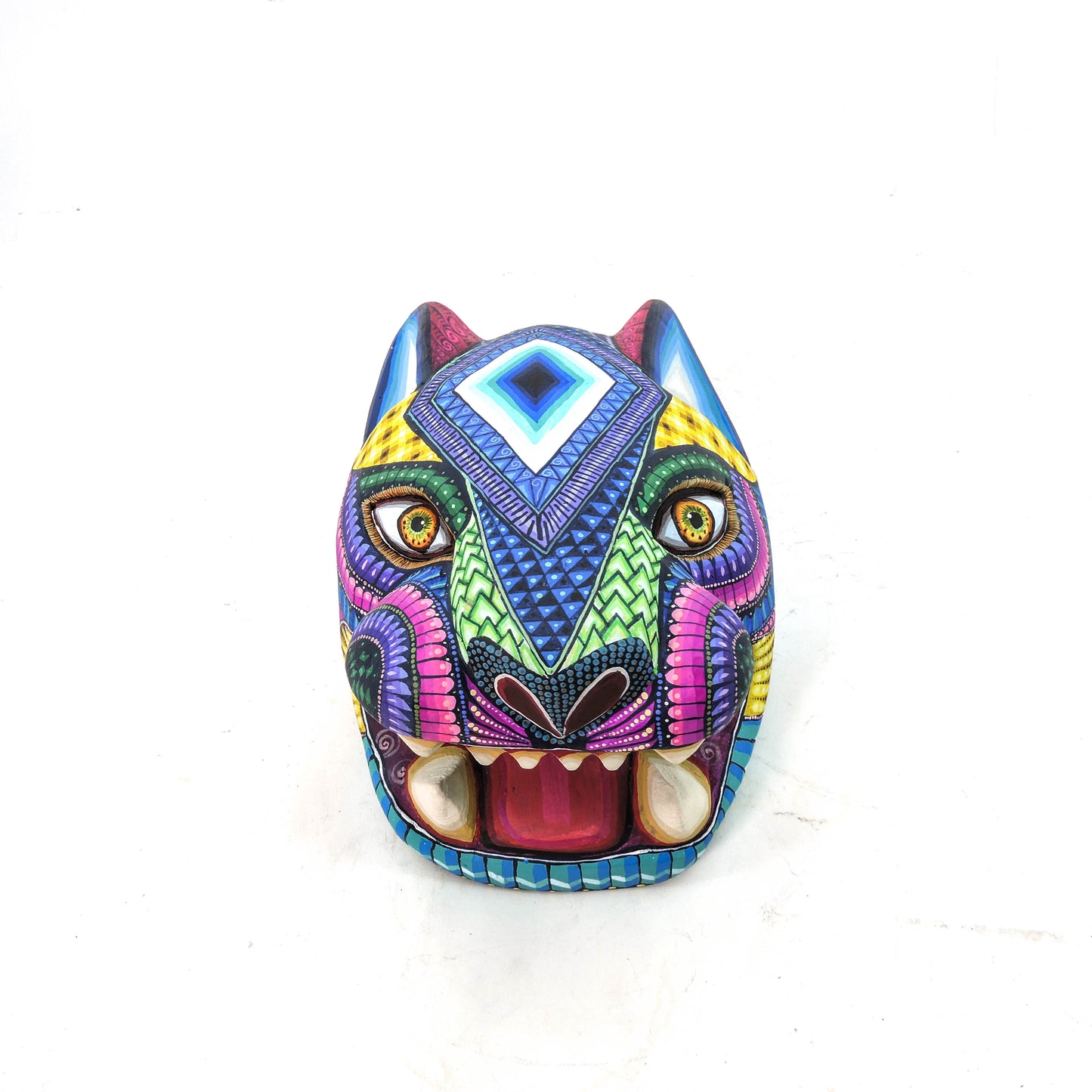 Cabeza de Jaguar Acoiris