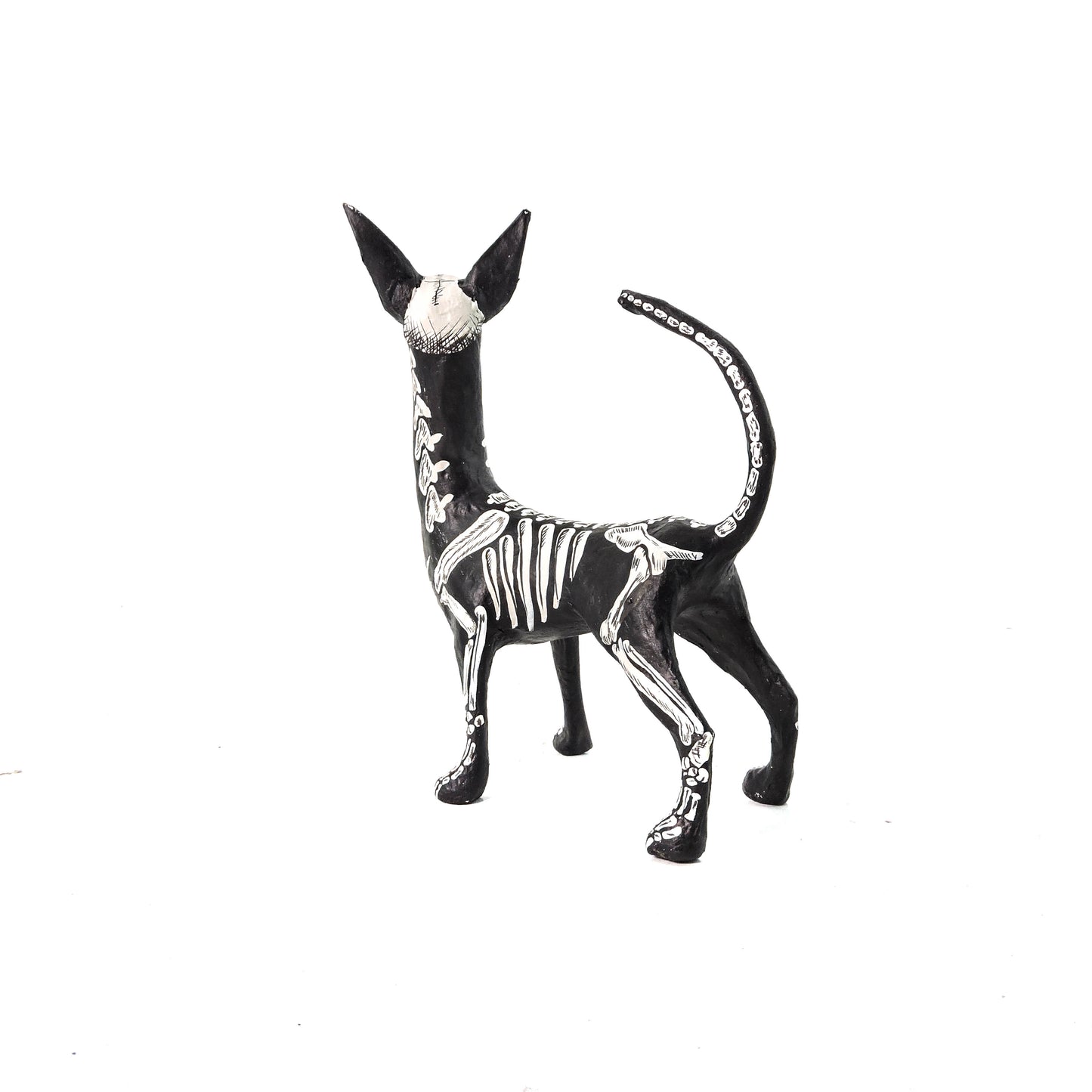 Xolo parado Huesitos