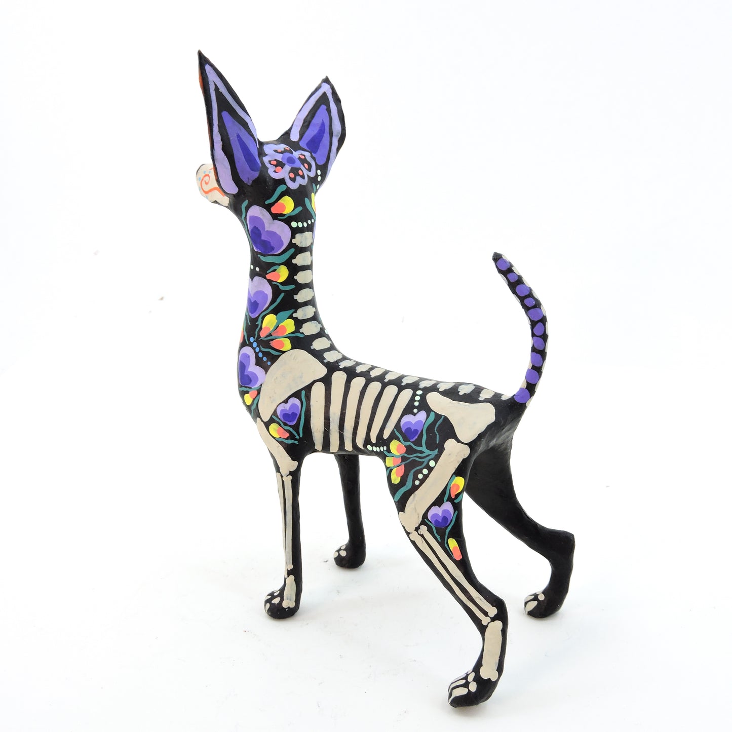 Xolo parado flor morado