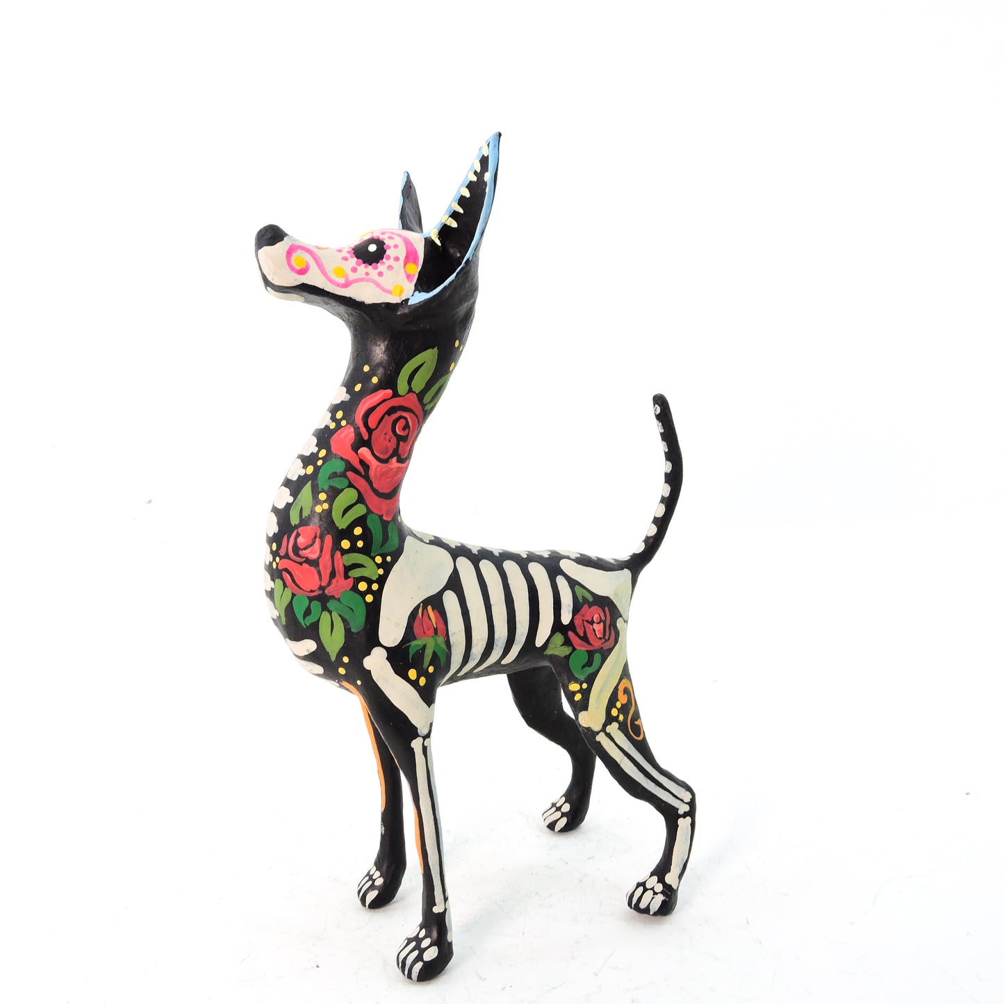 Xolo parado Rosas Rojas