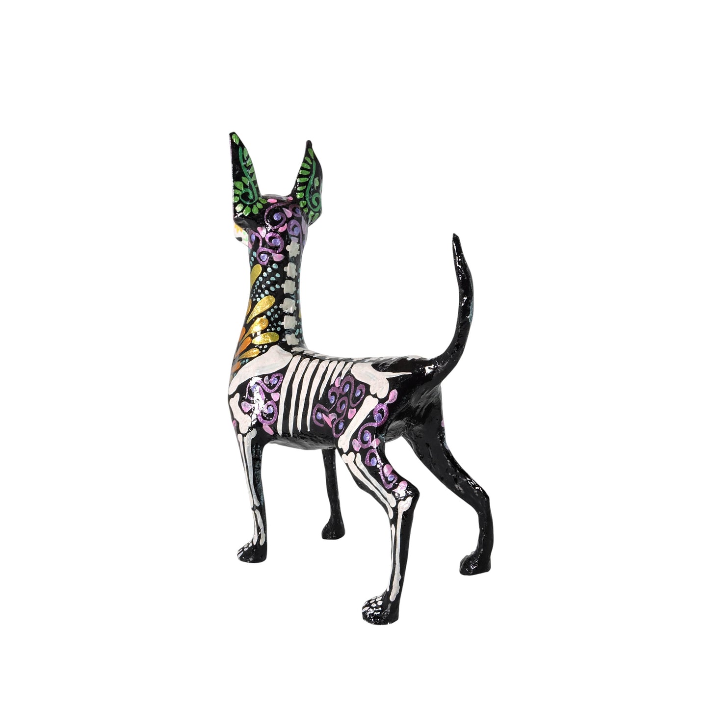 Xolo parado Gotas amarillas