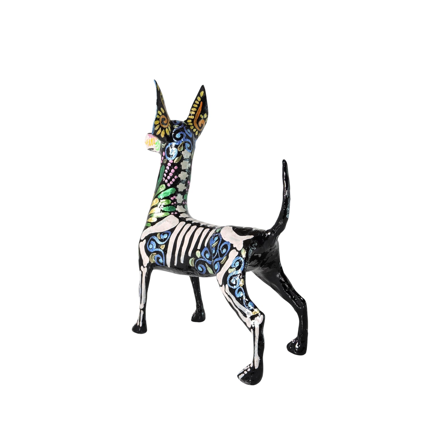 Xolo parado Gotas verdes