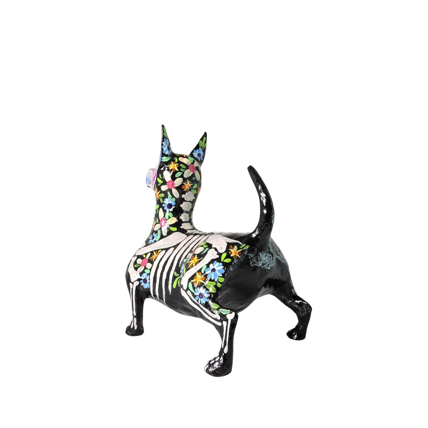 Xolo Gordito florido