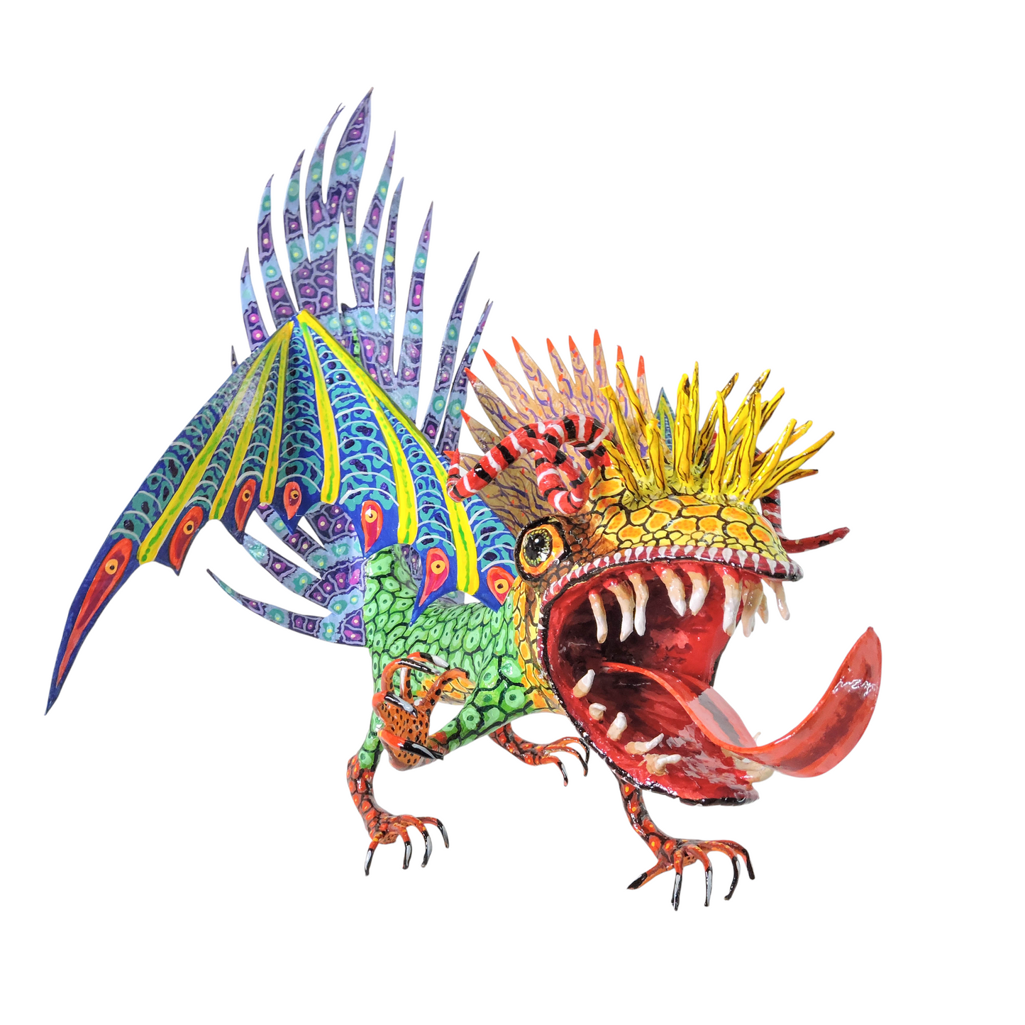 Pez Anfibio Crestado Volador flamingero