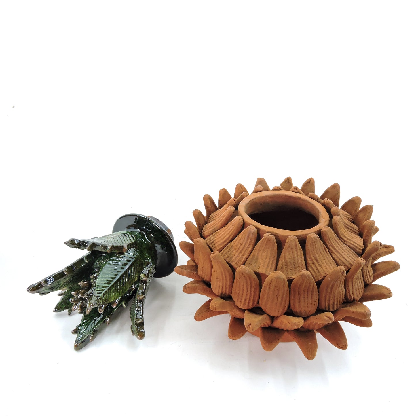 Calabaza Colores de la terracota Petalos