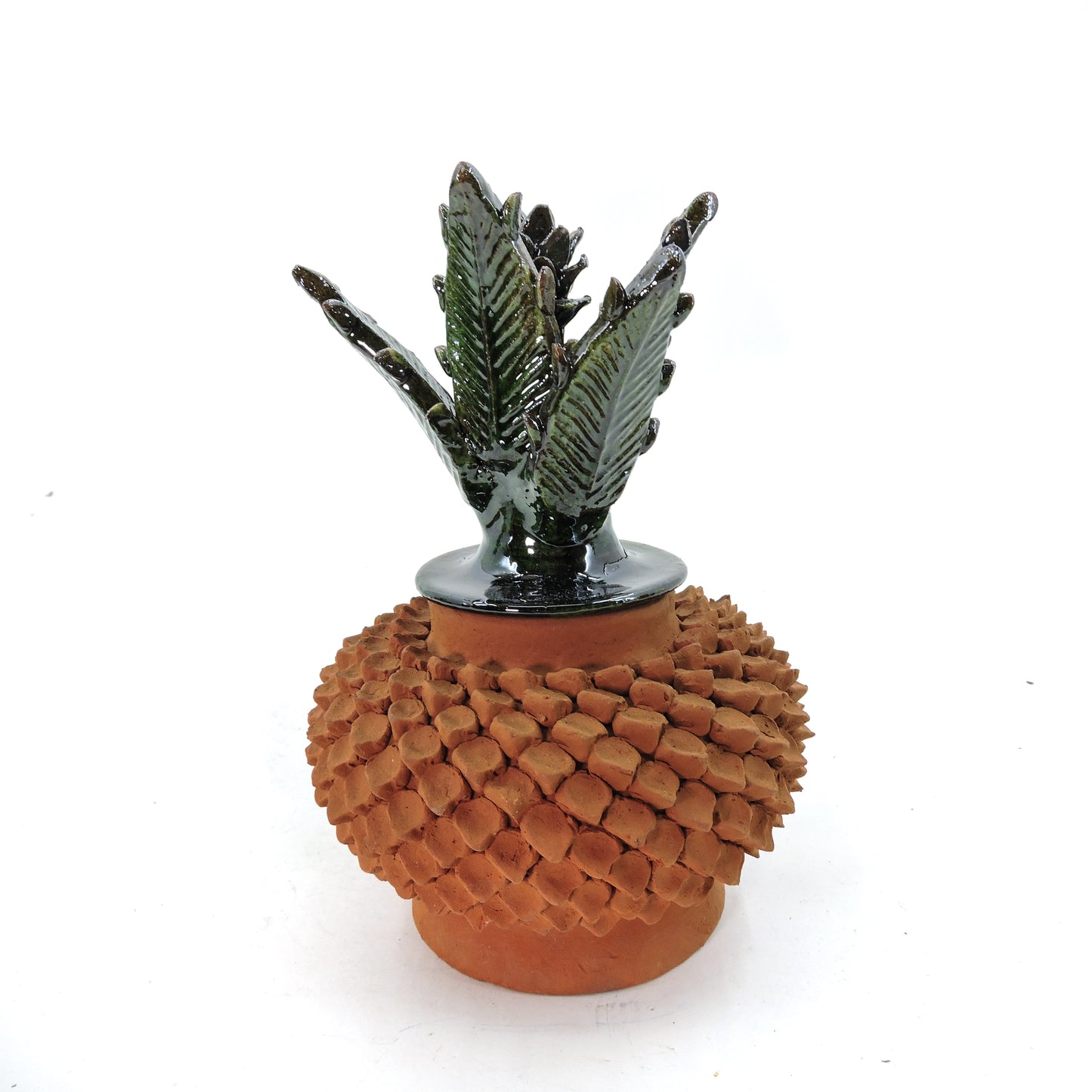 Calabaza Colores de la terracota Picos