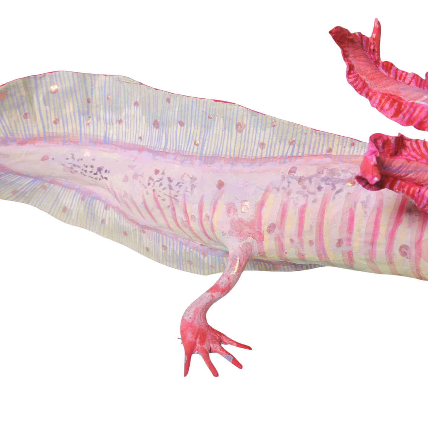 Ajolote Rosa Pardo