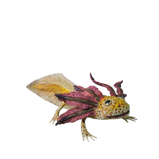 Ajolote Atigrado