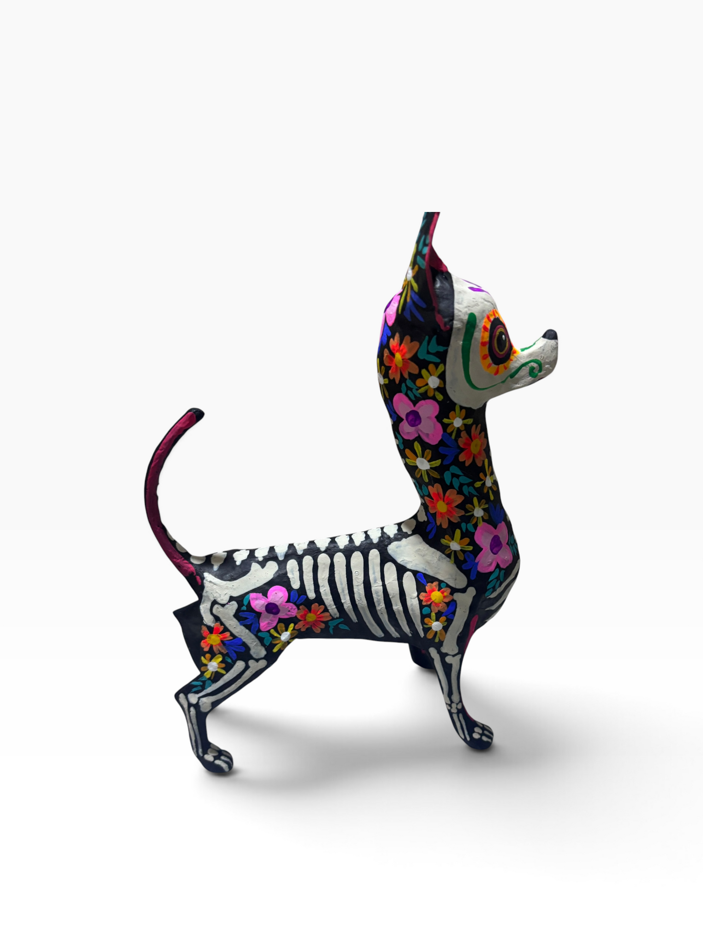 Chihuahua trix rosa