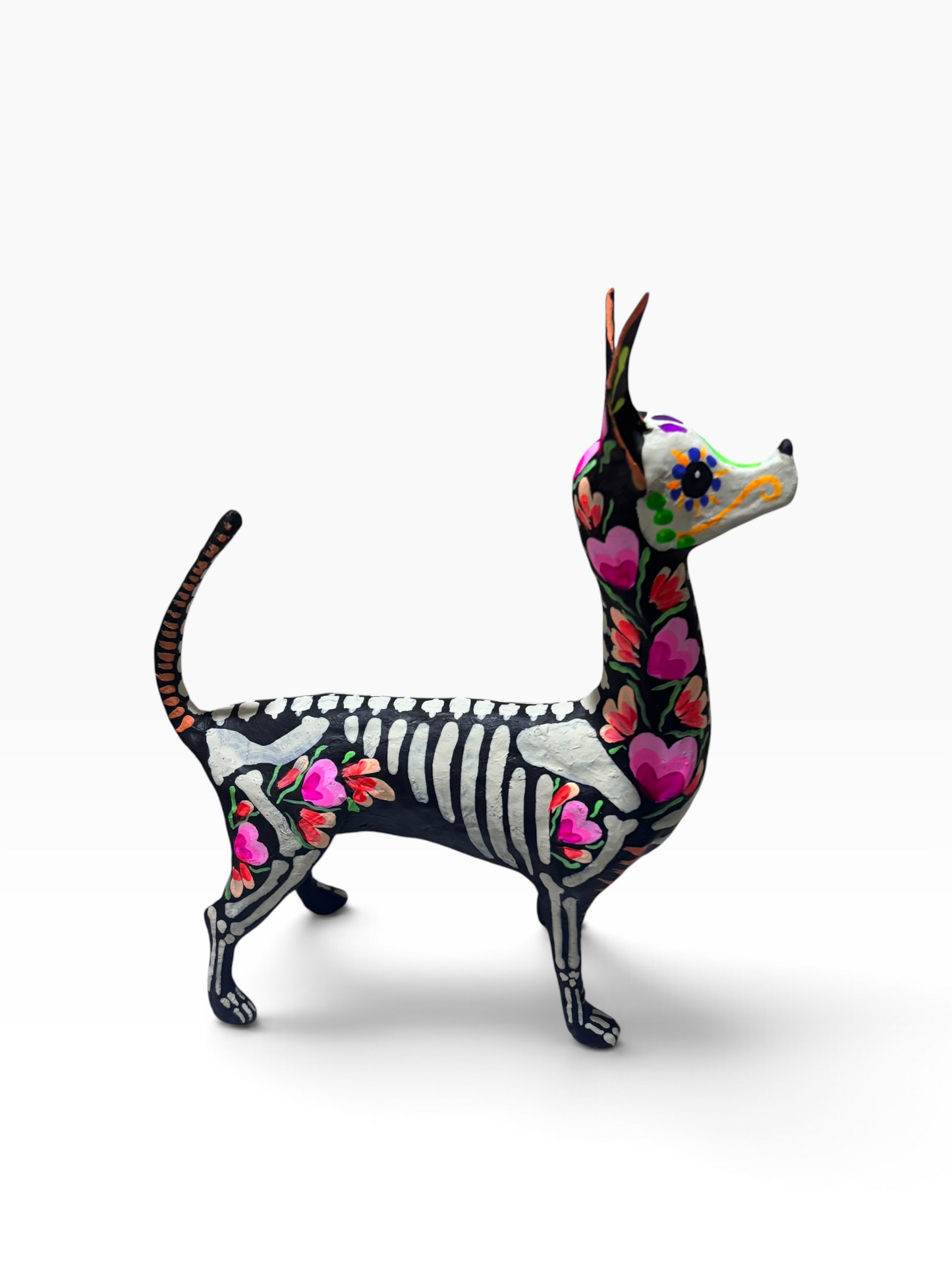 Xolo Corazones Rosas