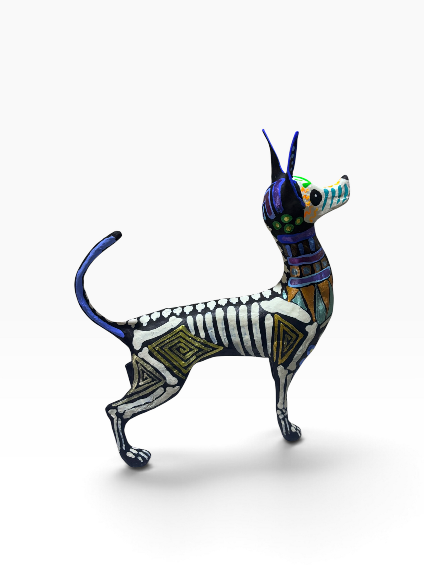 Xolo Gecas Azul