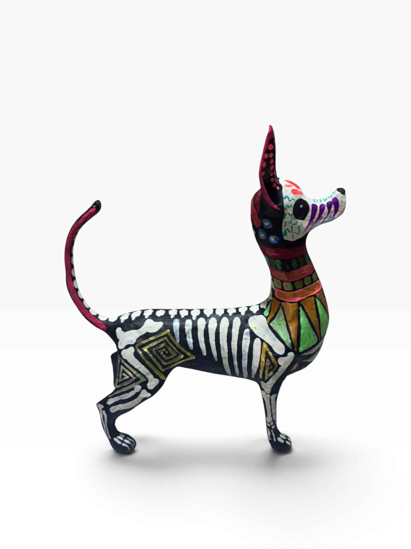 Xolo Grecas Rosas