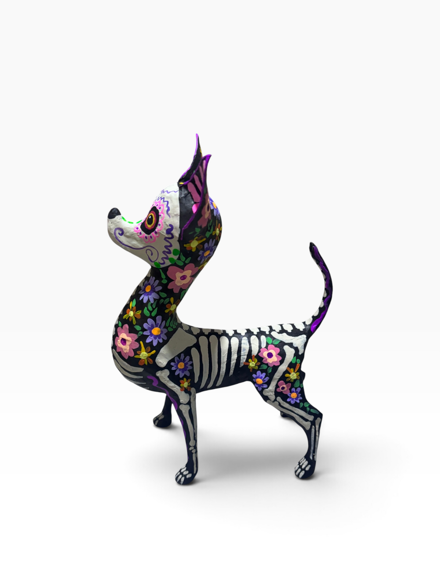 Chihuahua Trix pastel