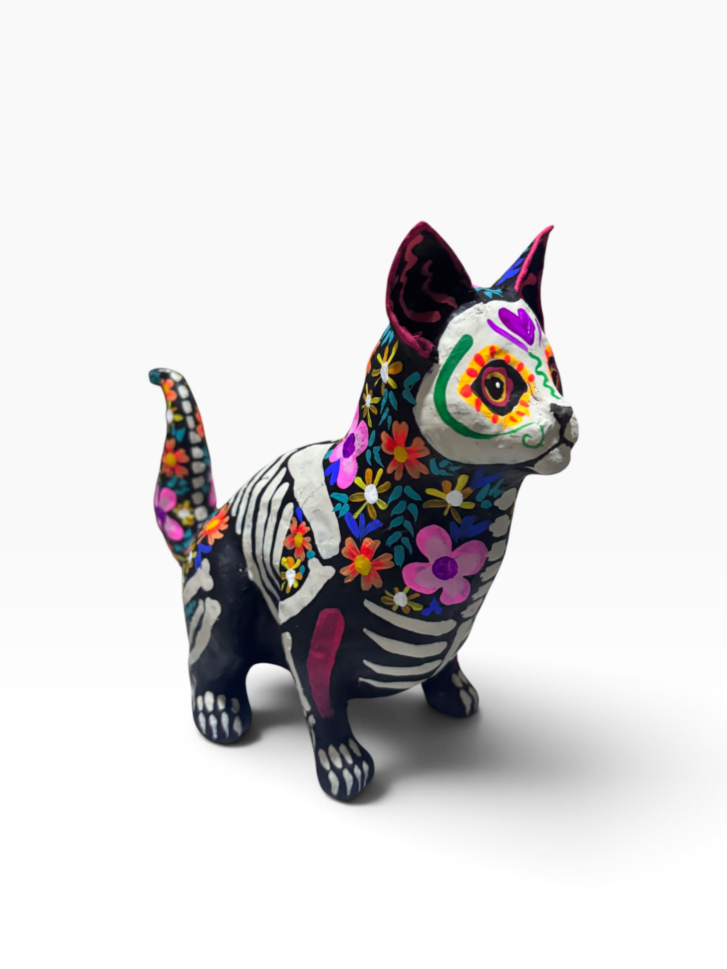 Gato Trix Pastel