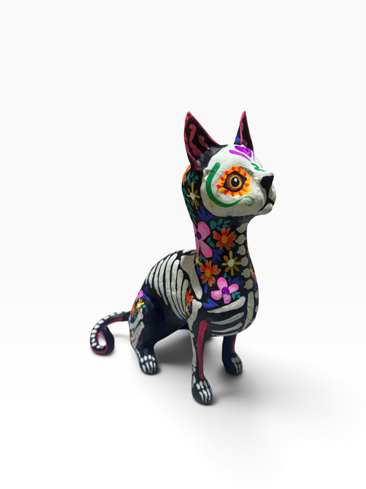 Gato Trix Rosa