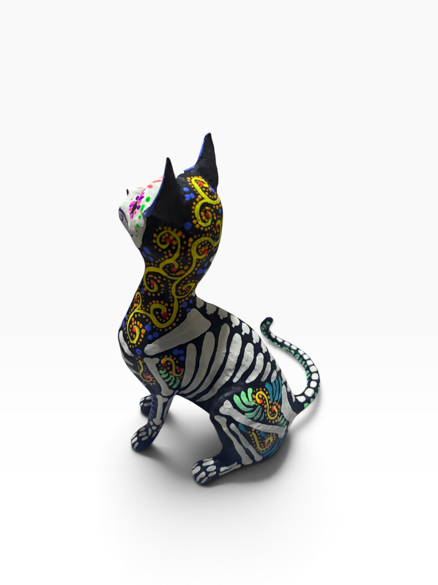 Gato Espirales Amarillos