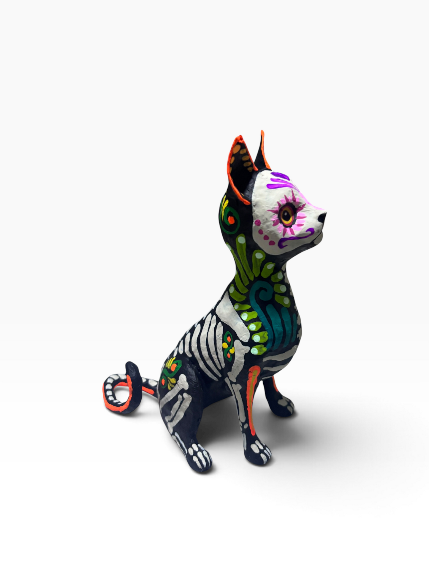 Gato Ollin Azul