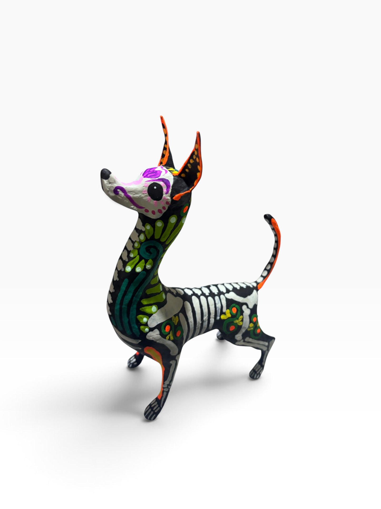 Xolo Ollin Verde