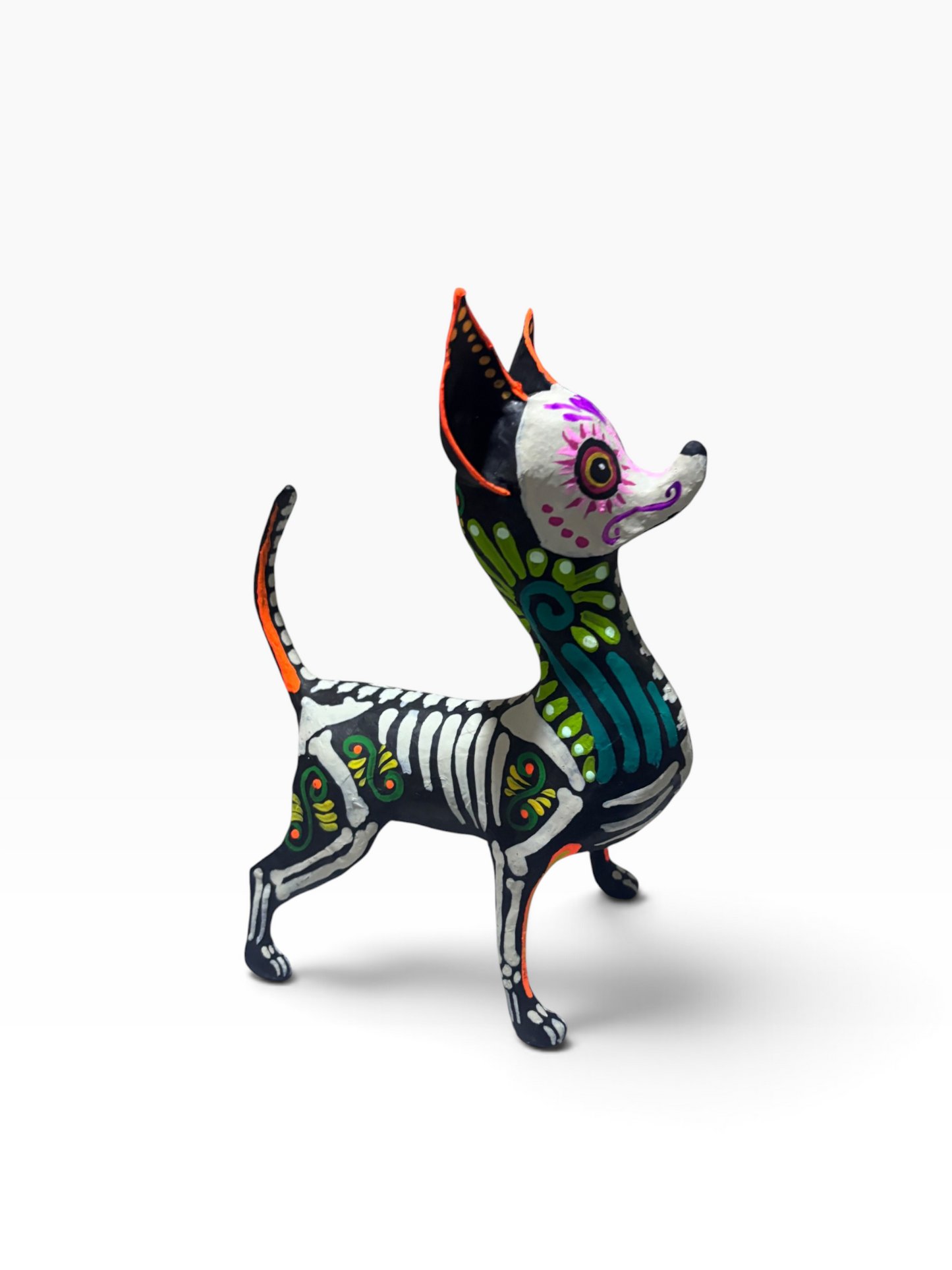 Chihuahua Ollin Verde