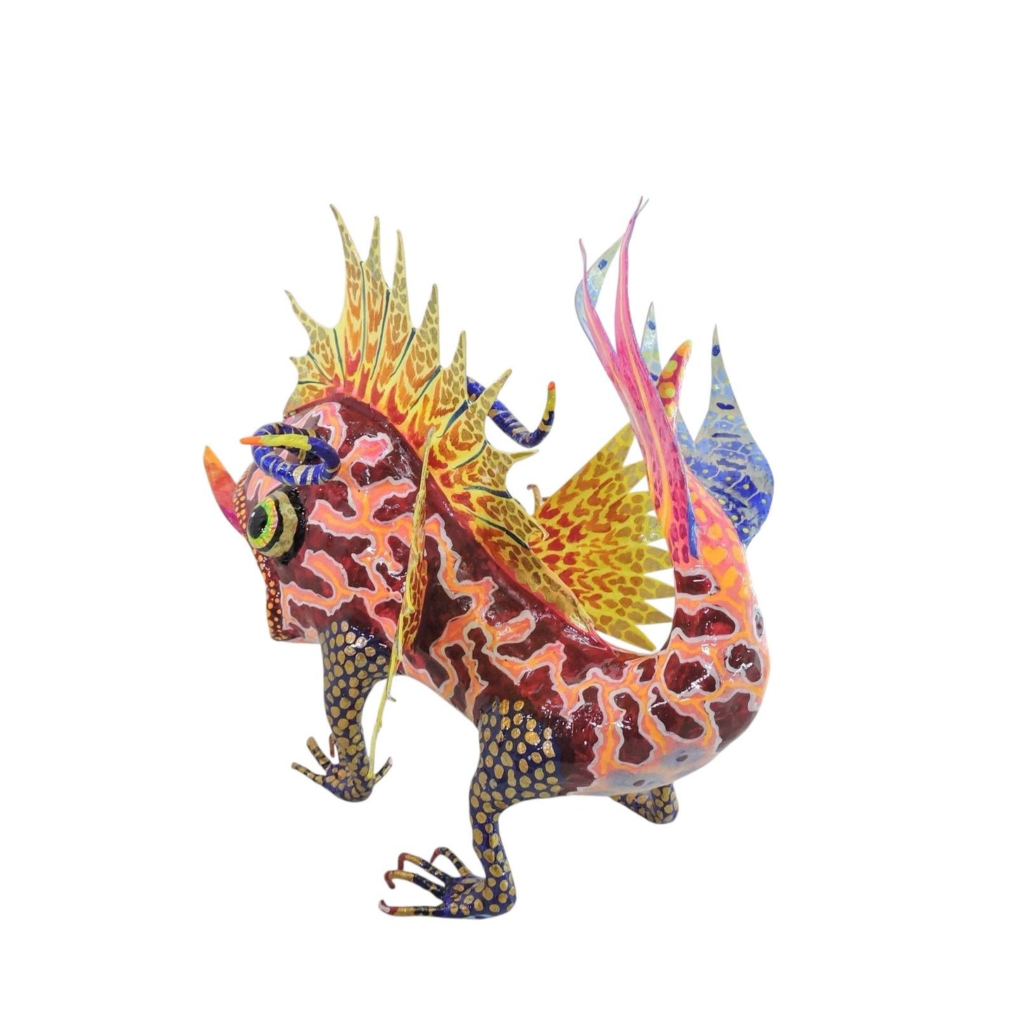 Pez Anfibio Crestado Naranja