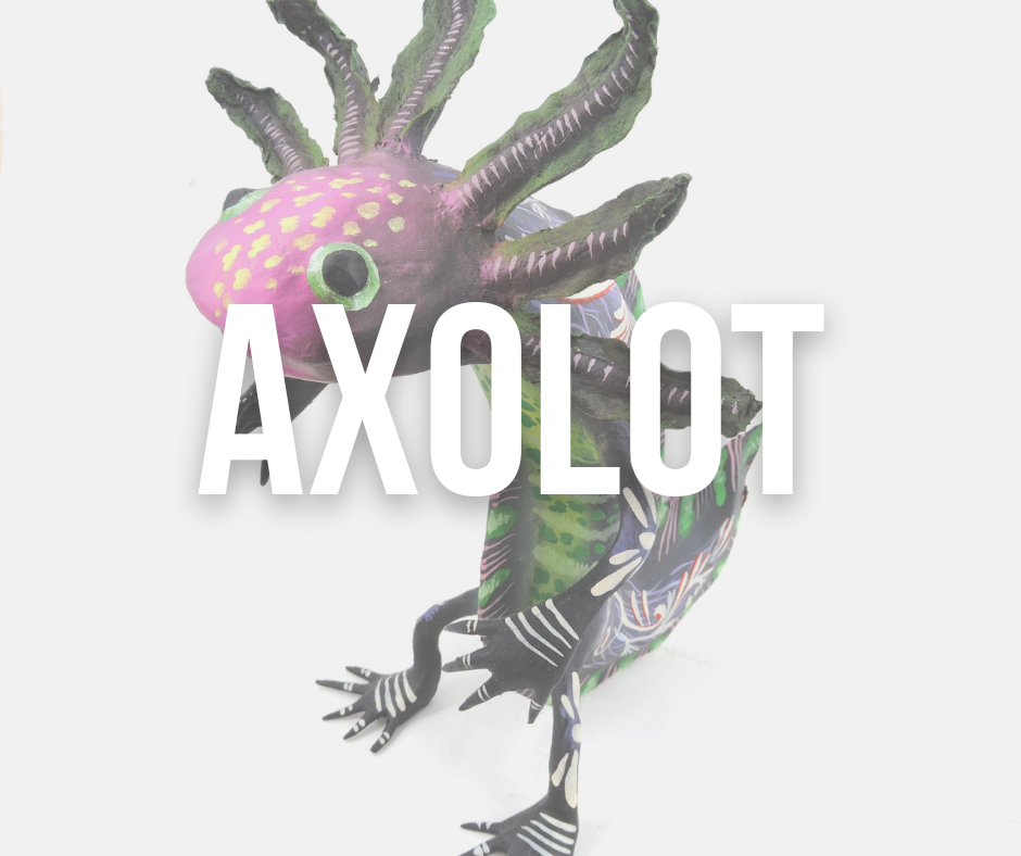 AXOLOTL