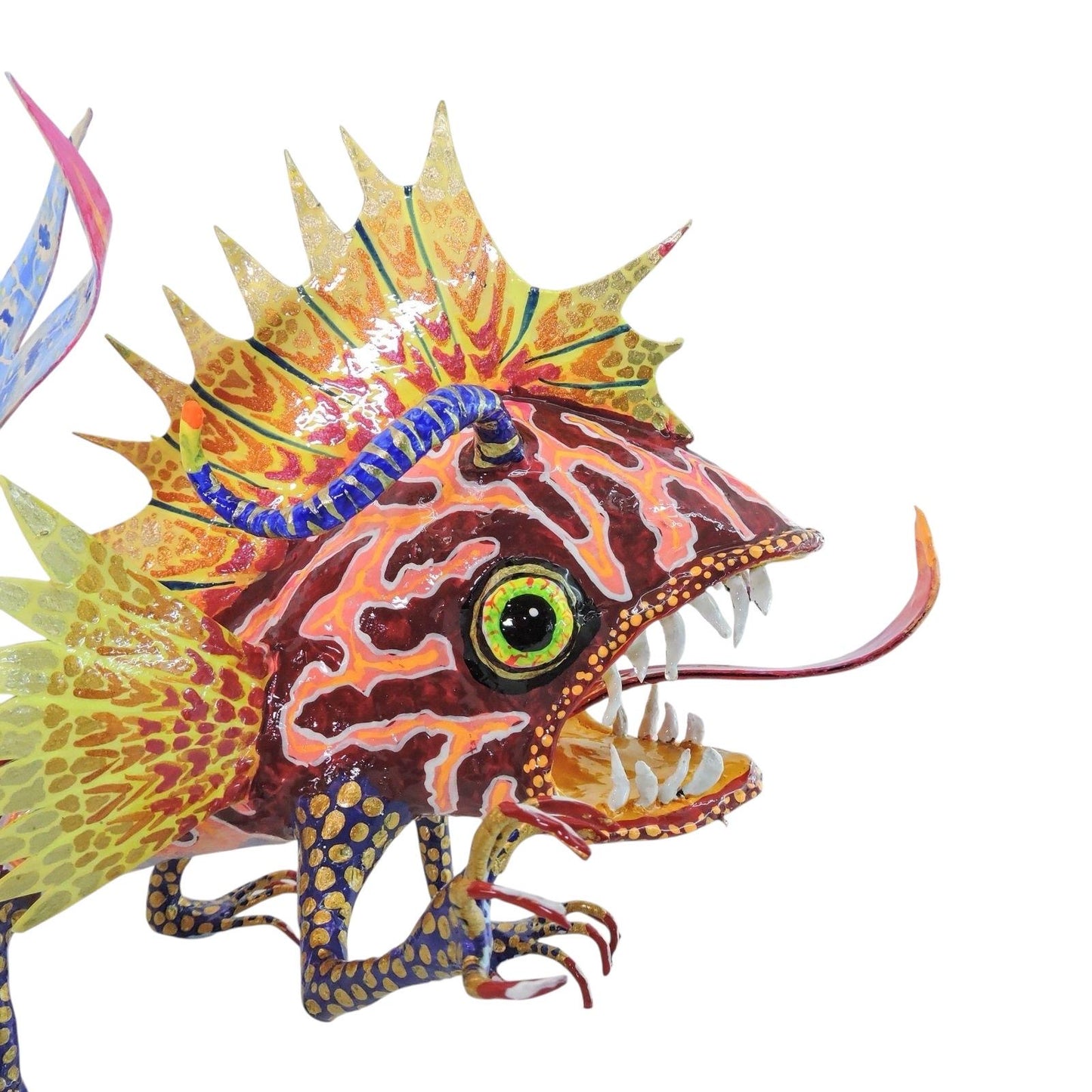 Pez Anfibio Crestado Naranja