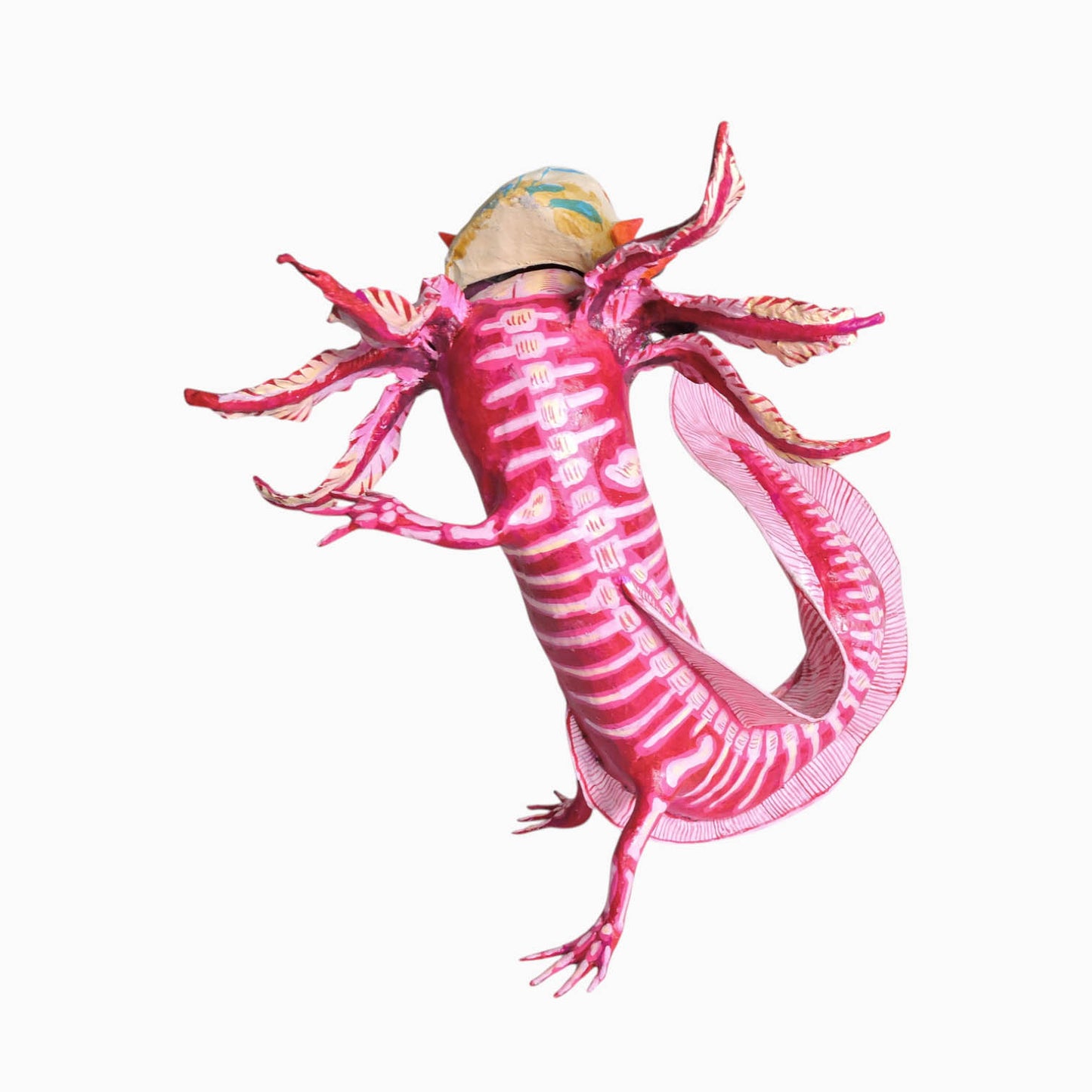 Ajolote Esqueleto