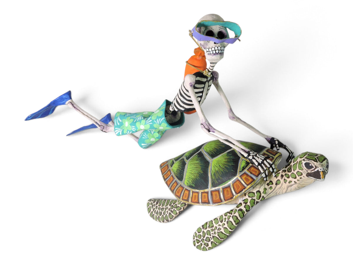 Buzo con Tortuga marina