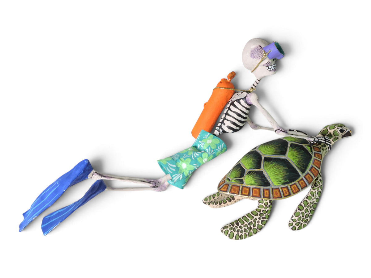 Buzo con Tortuga marina