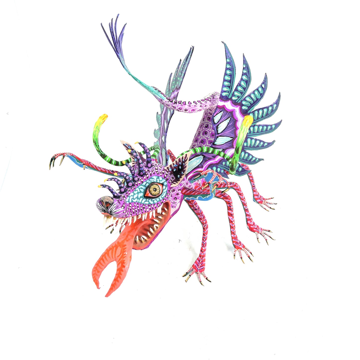 Gato escorpion venenoso