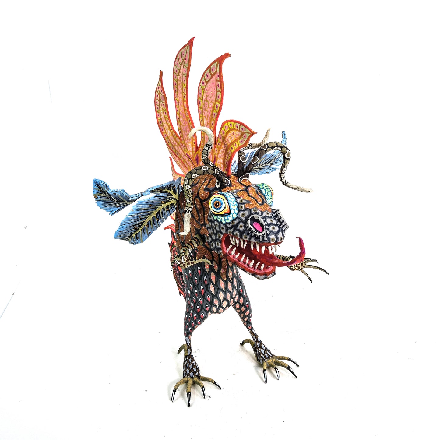 Polilla Reptil Arida