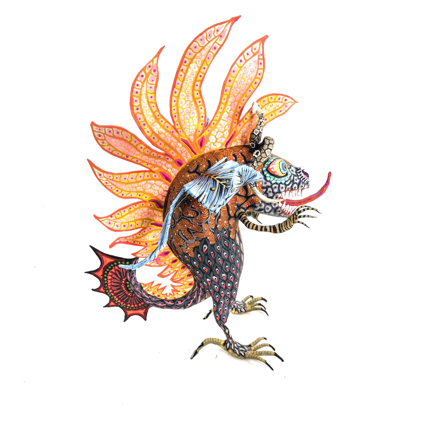 Polilla Reptil Arida