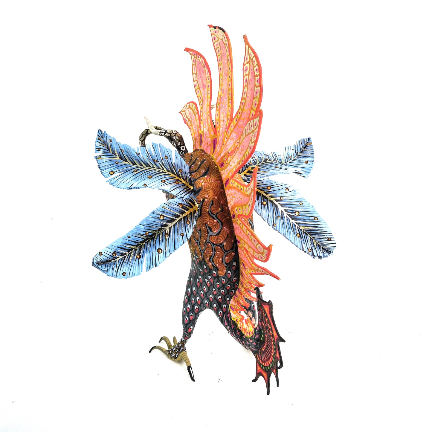 Polilla Reptil Arida