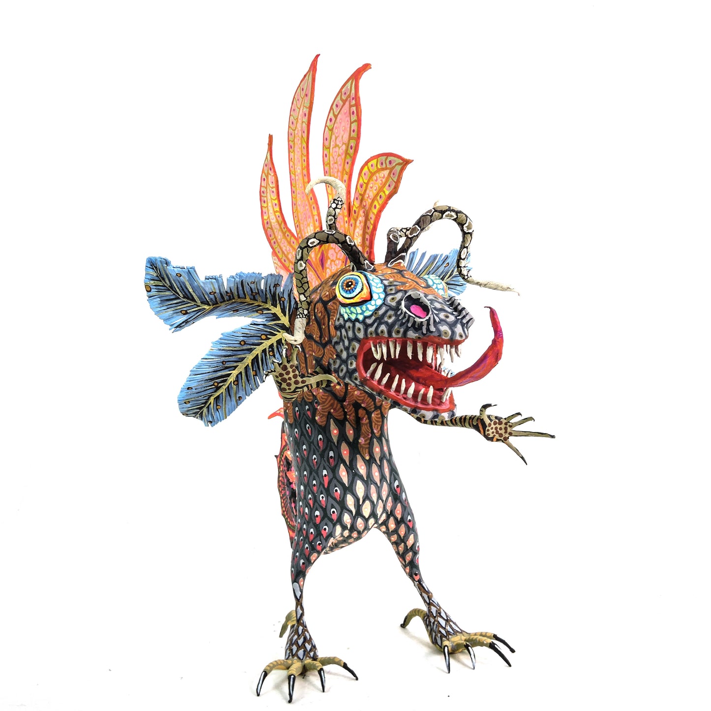 Polilla Reptil Arida