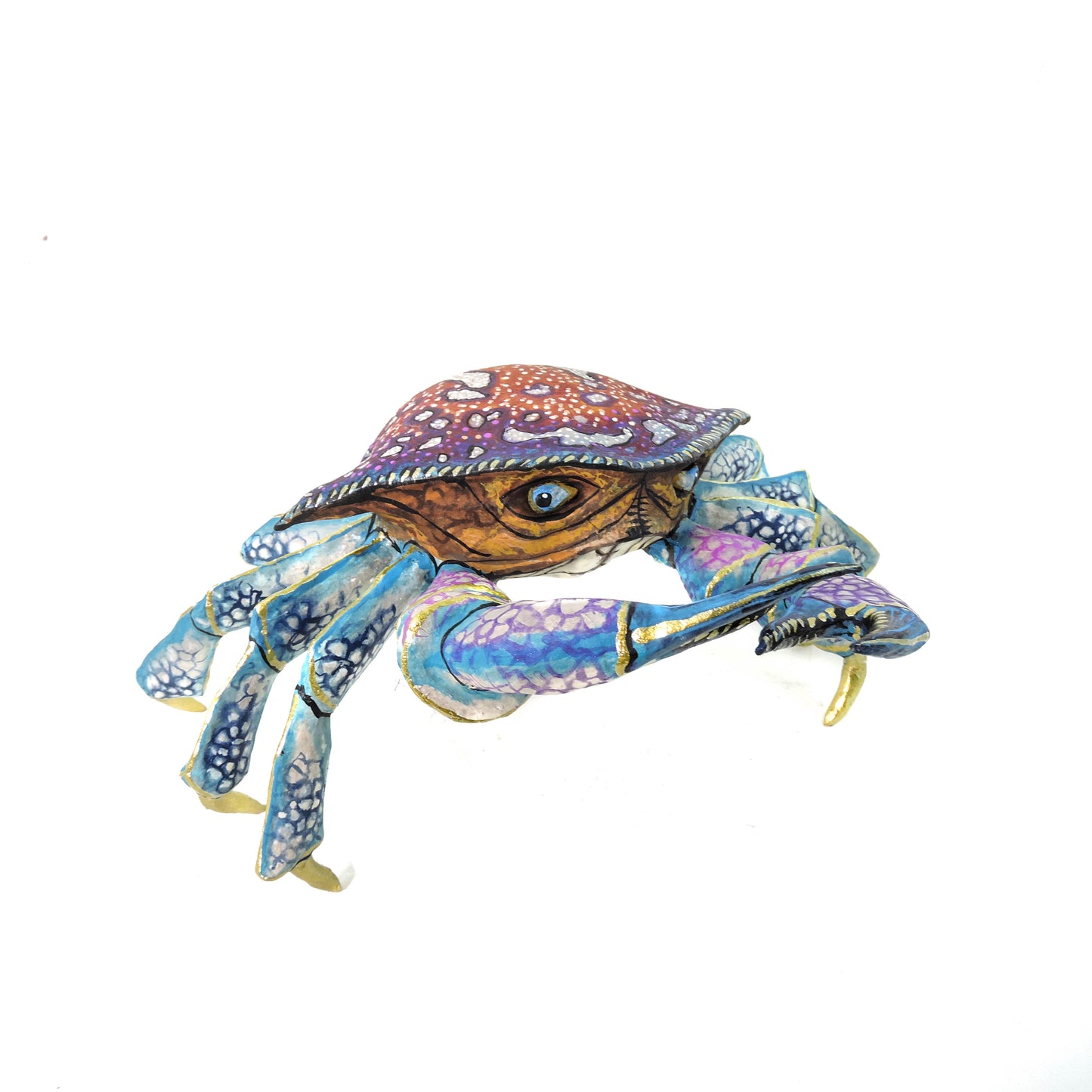 Cangrejo del Mar Profundo