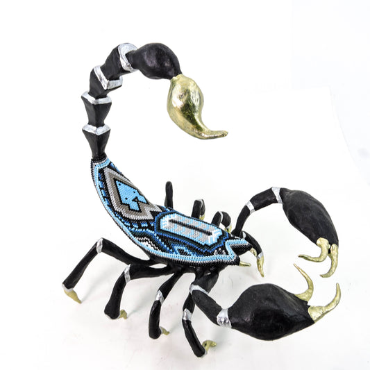 Escorpion Coyote Azul