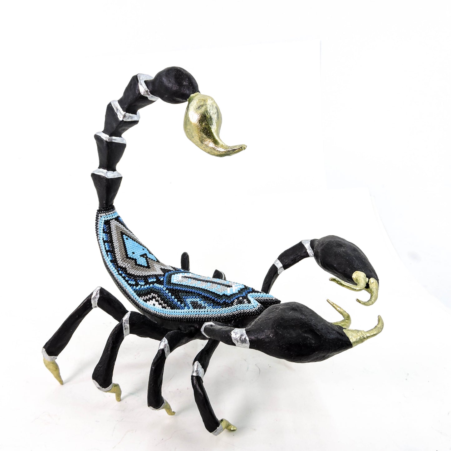 Escorpion Coyote Azul