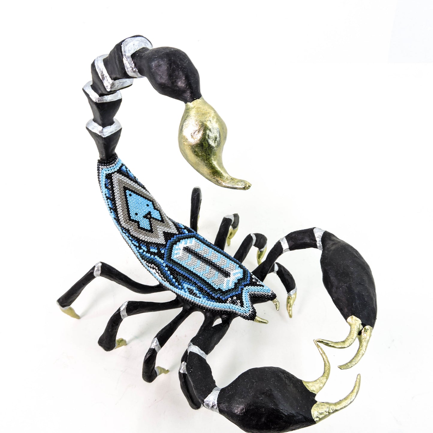 Escorpion Coyote Azul