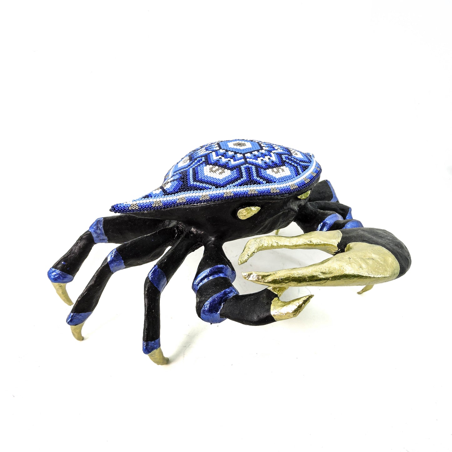 Cangrejo Violinista Flor de Peyote