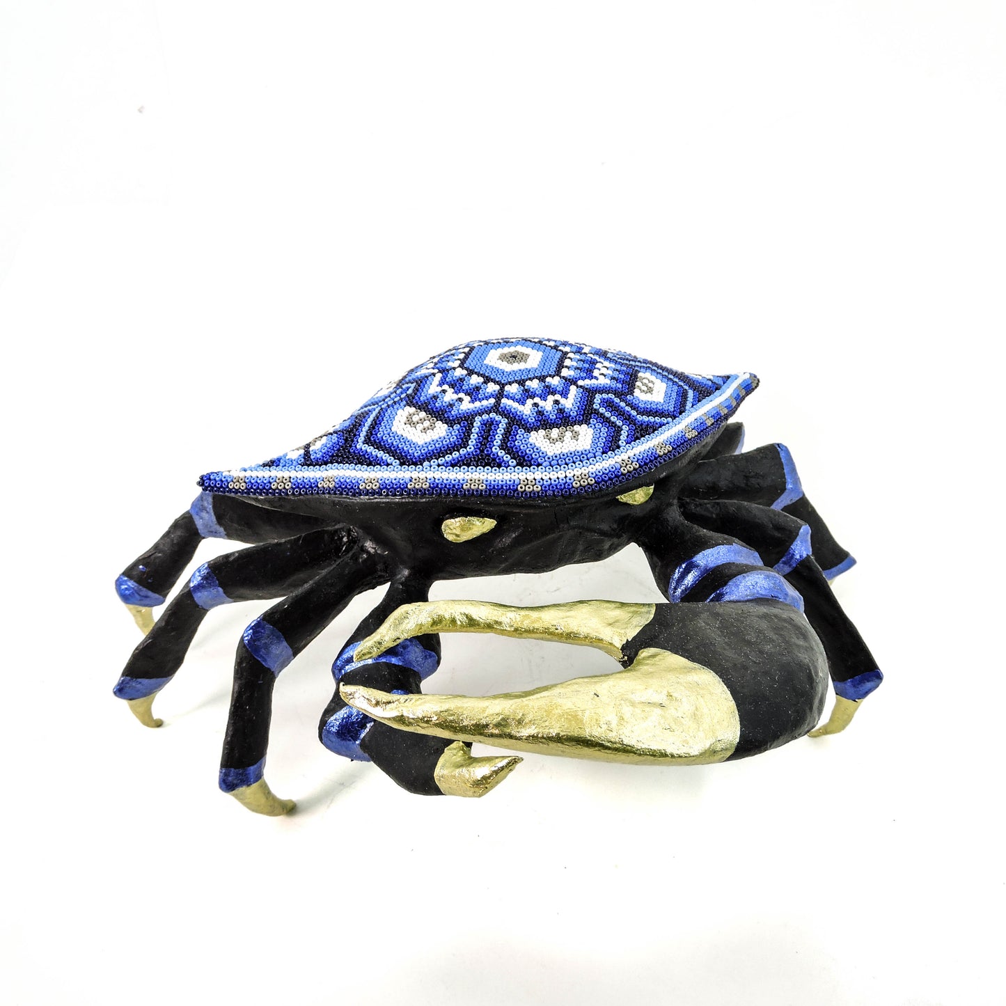 Cangrejo Violinista Flor de Peyote