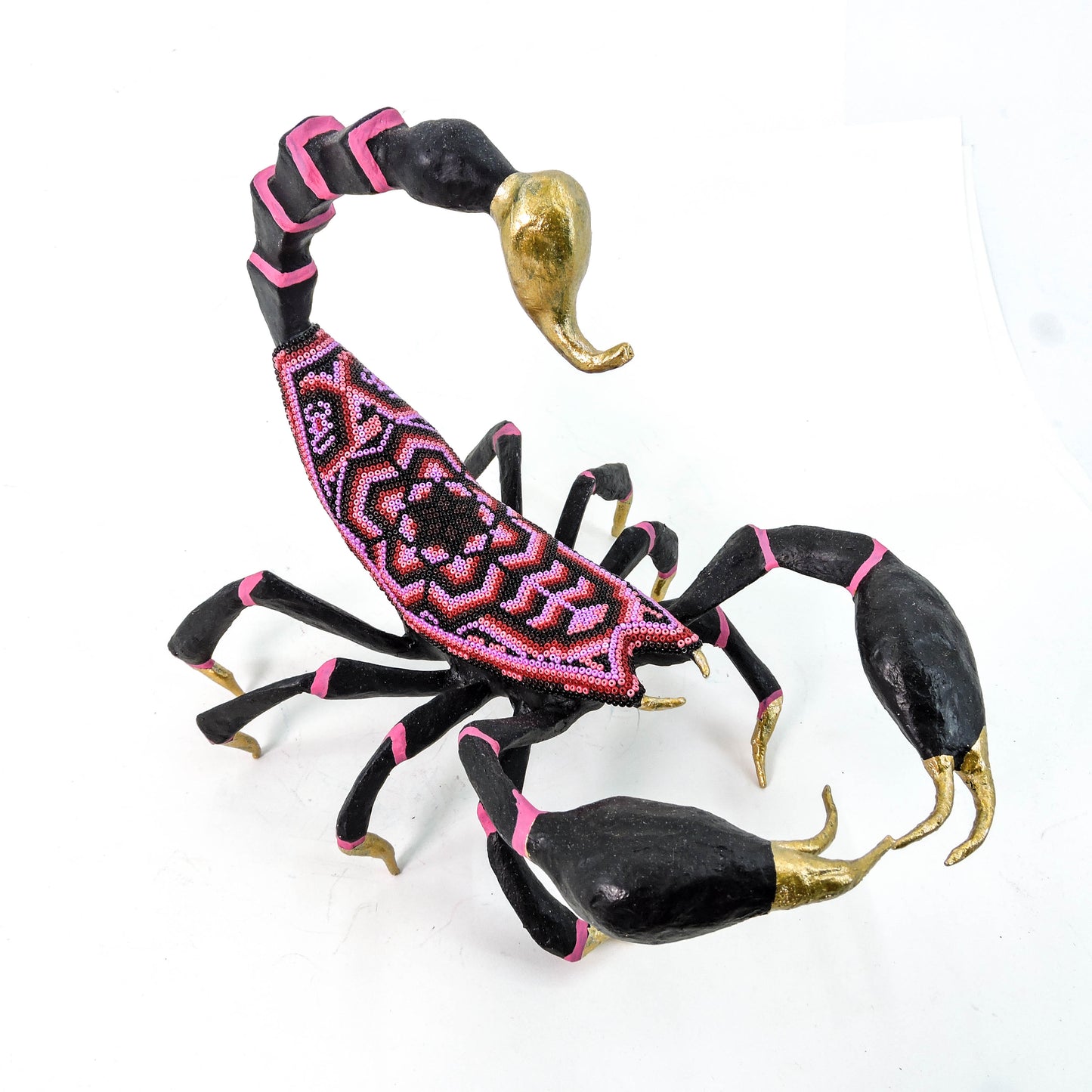 Escorpion Flor de Hikuri