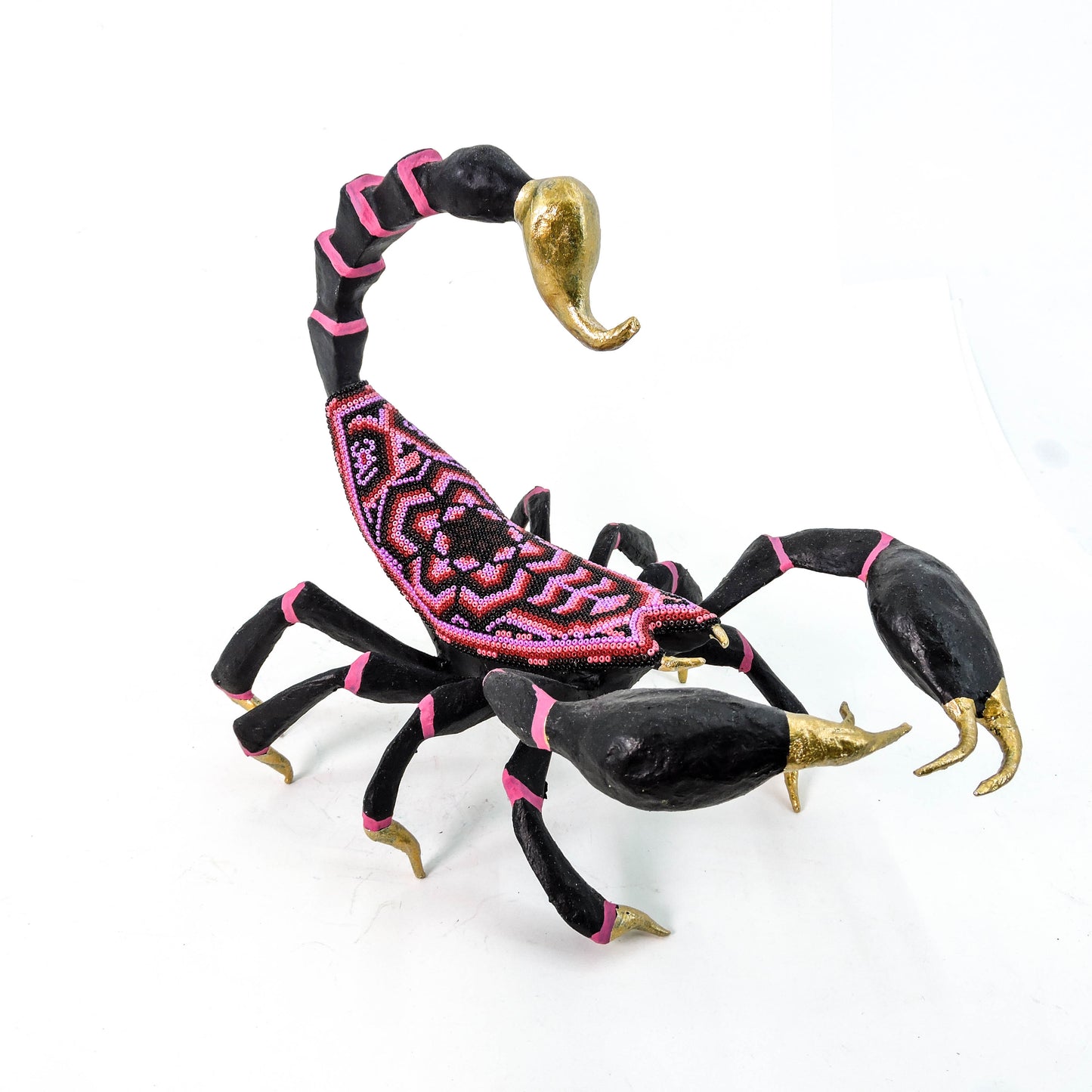 Escorpion Flor de Hikuri