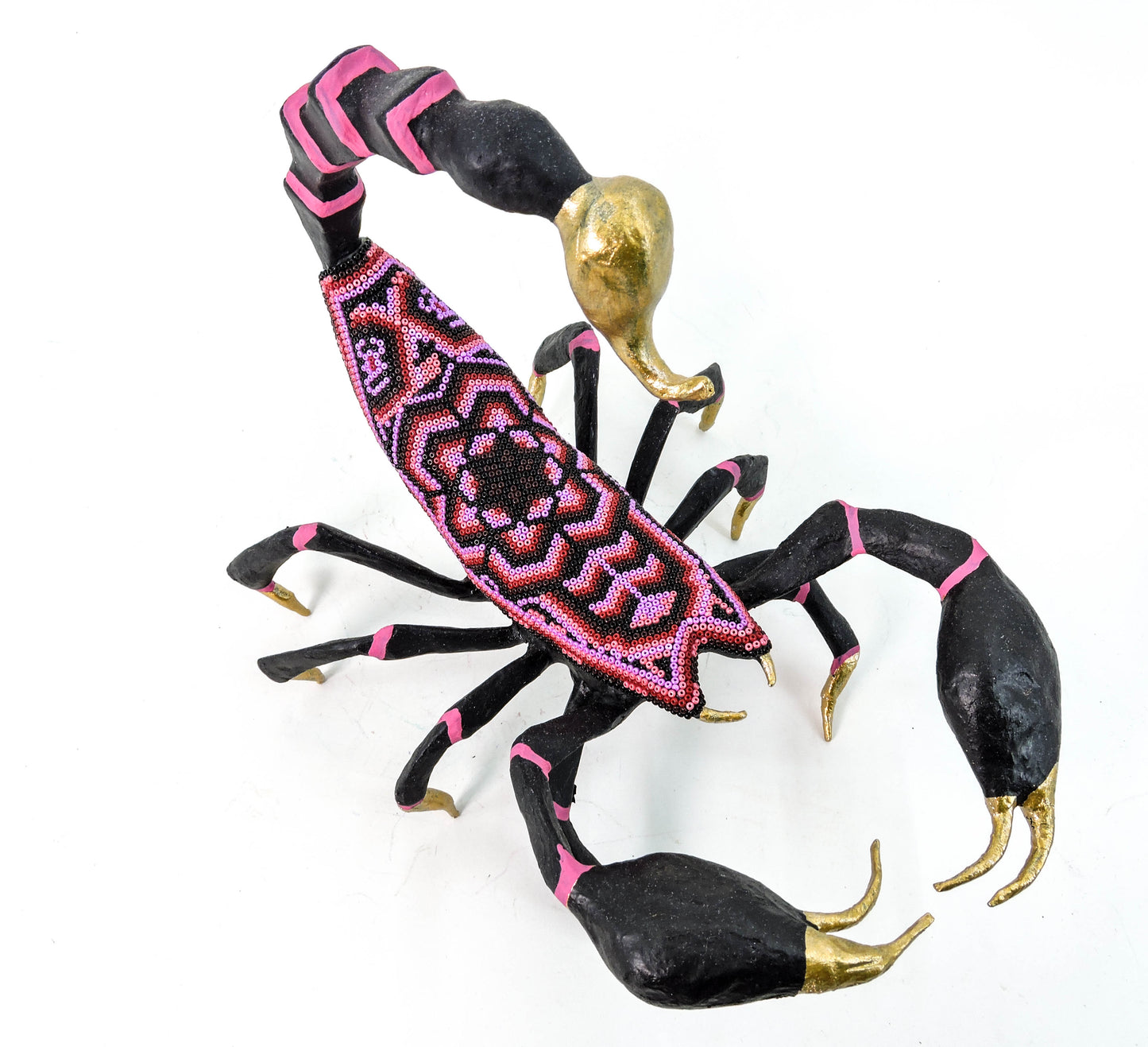 Escorpion Flor de Hikuri