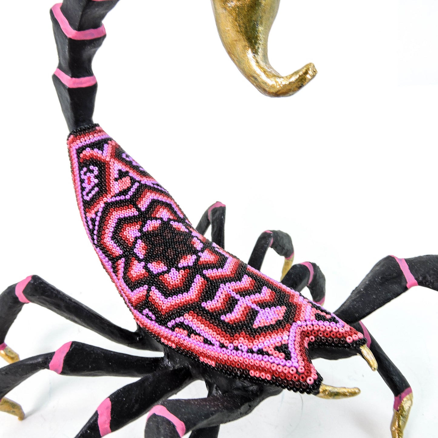 Escorpion Flor de Hikuri