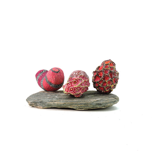 Set Huevos de Alebrije -  Meteoro