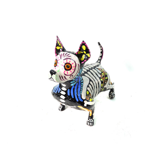 Chihuahua Gordito Azul